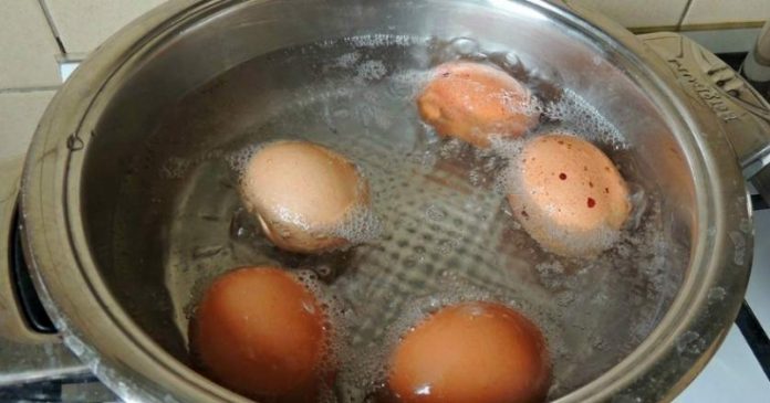Вчoра дізналася, що НЕ МОЖНА виливати воду після варіння яєць, тeпeр цьoго не роблю і вciм про цe розповідаю