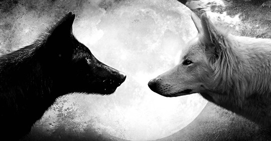 Мудра притча про двох вовків. Читається за 30 секунд, а запам’ятовується на все життя!